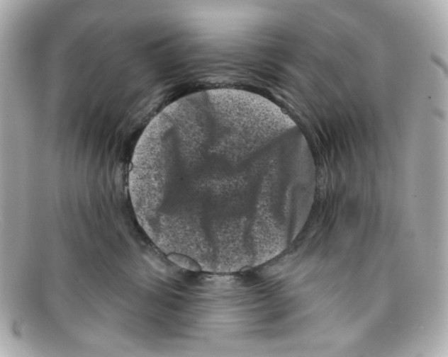 X0000097950428200804211041