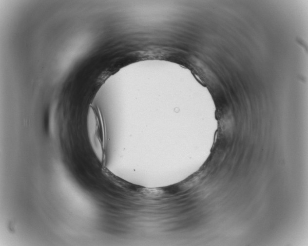 X0000097950429200804211041