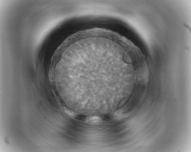 X0000097950431200804211041