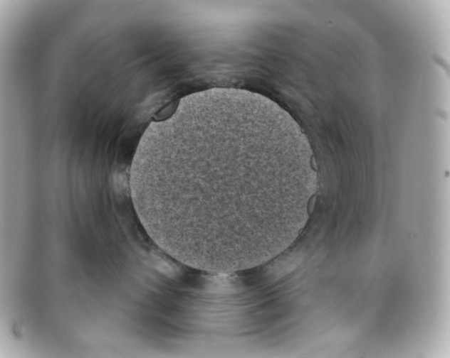 X0000097950432200804211041