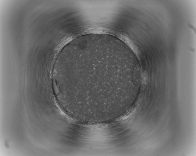 X0000097950433200804211040