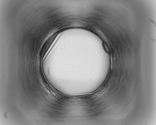 X0000097950435200804211040