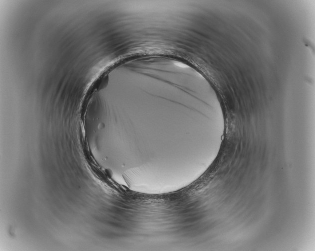 X0000097950438200804211040