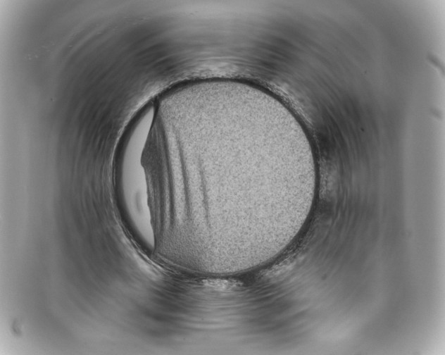 X0000097950439200804211040