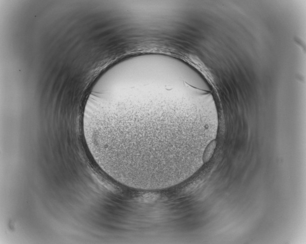 X0000097950441200804211040