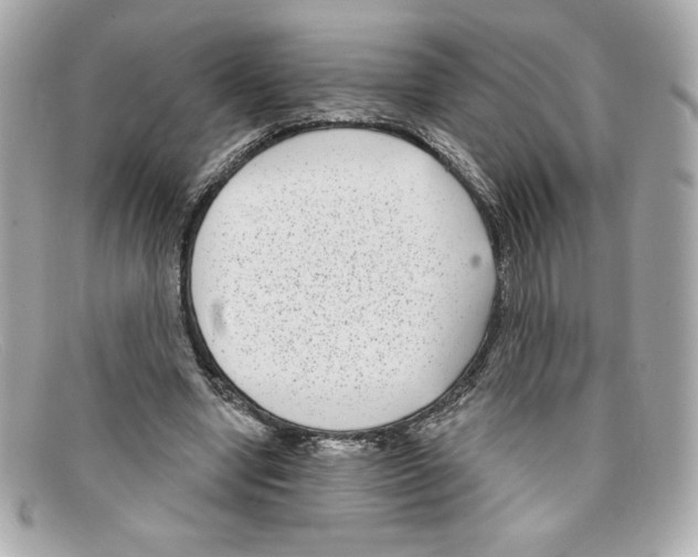 X0000097950442200804211040