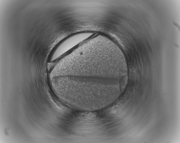 X0000097950443200804211040