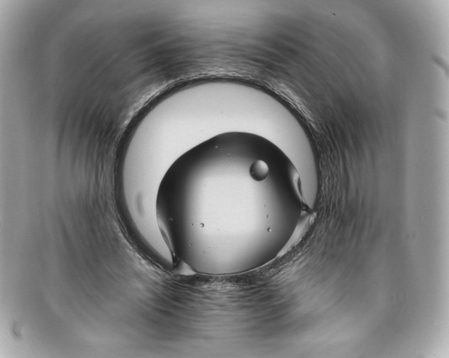 X0000097950444200804211040