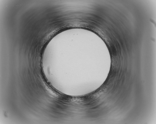 X0000097950445200804211040