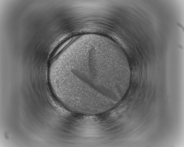 X0000097950446200804211040