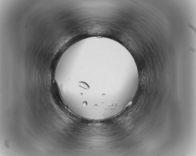 X0000097950448200804211040