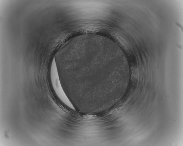 X0000097950451200804211040