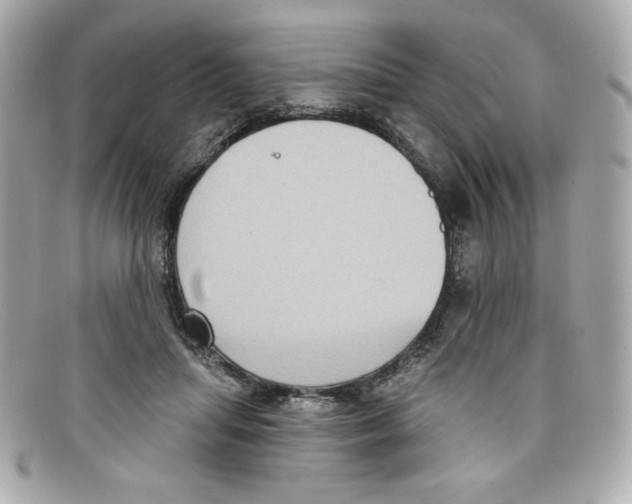 X0000097950455200804211040