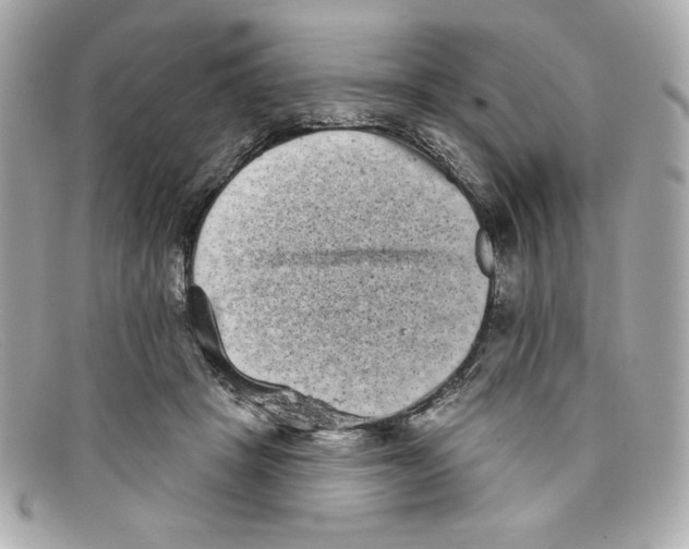 X0000097950457200804211040