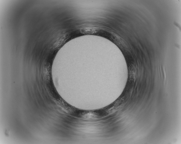 X0000097950460200804211040