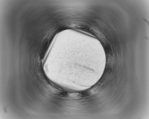 X0000097950461200804211040