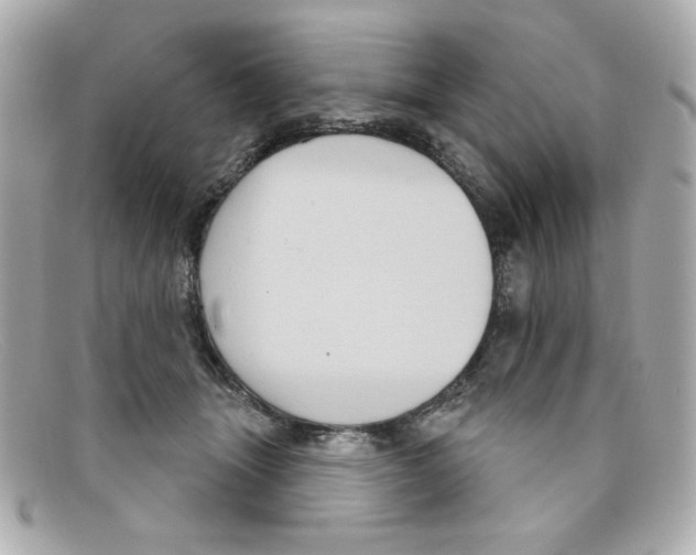 X0000097950463200804211040