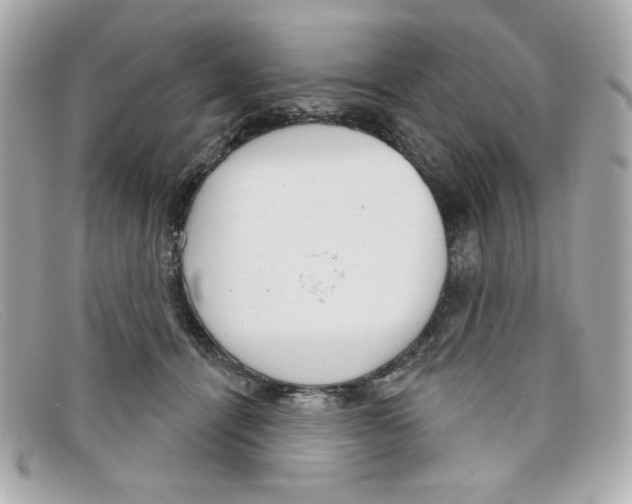 X0000097950464200804211040
