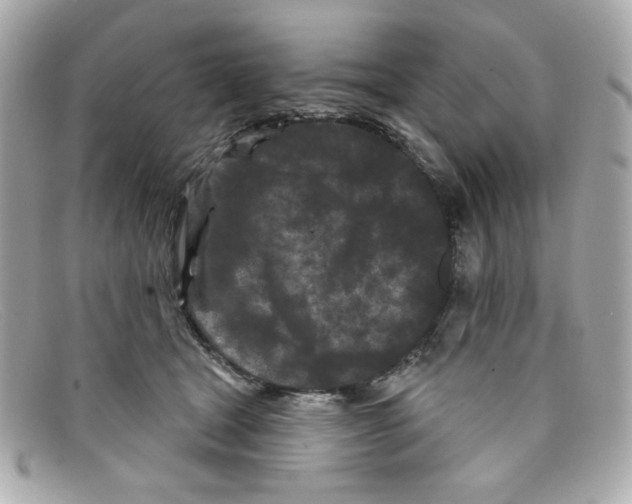 X0000097950465200804211040