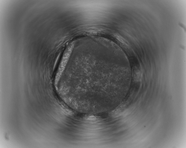 X0000097950467200804211040