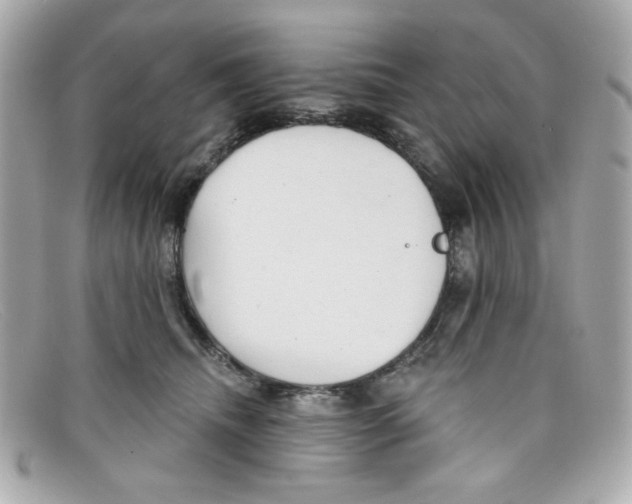 X0000097950468200804211040