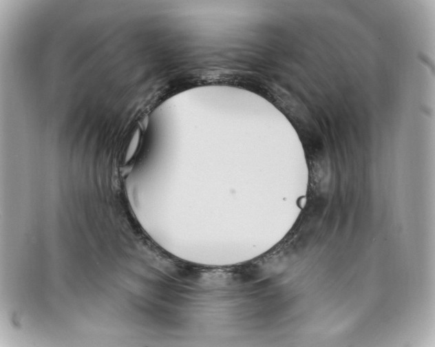 X0000097950470200804211041