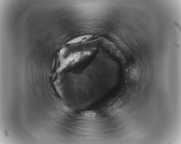 X0000097950471200804211041