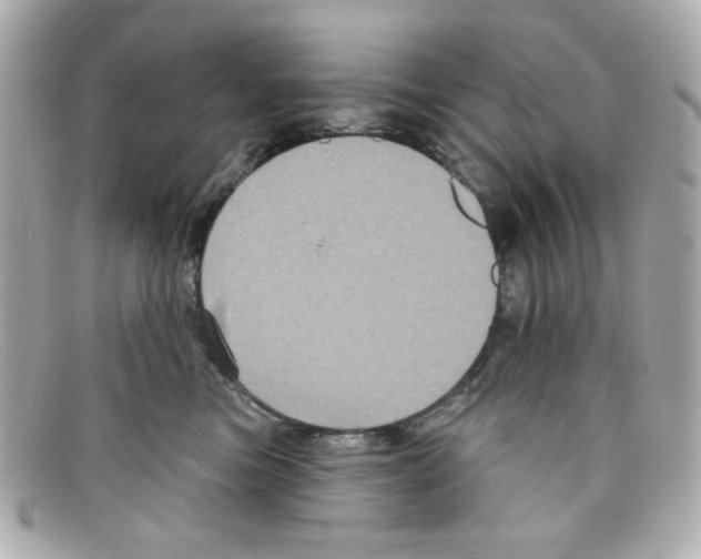 X0000097950473200804211041