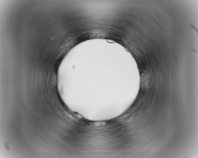 X0000097950474200804211041