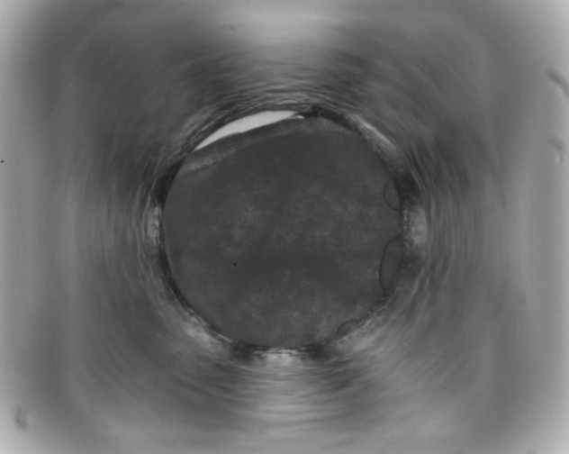 X0000097950475200804211041