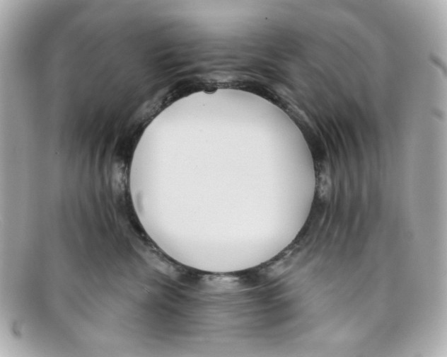 X0000097950476200804211041