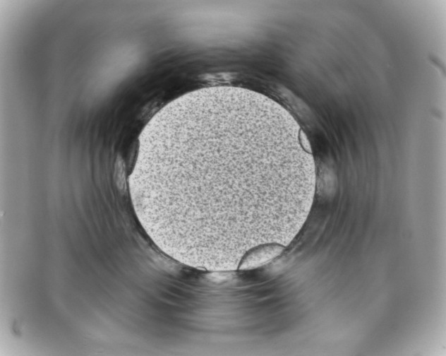 X0000097950477200804211041