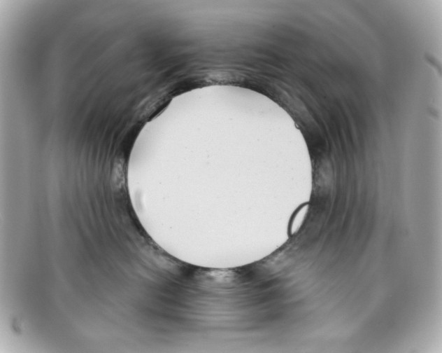 X0000097950478200804211041