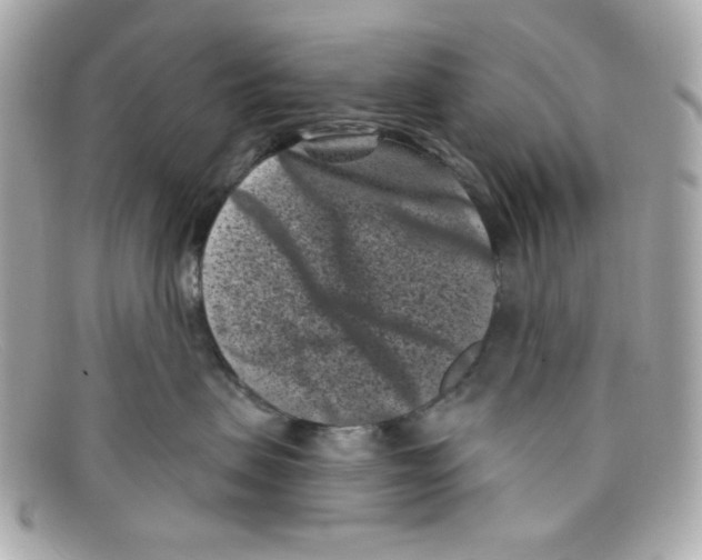 X0000097950479200804211041