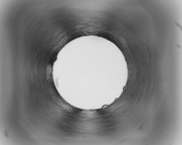 X0000097950480200804211041