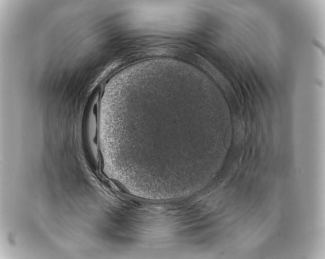 X0000097950482200804211040