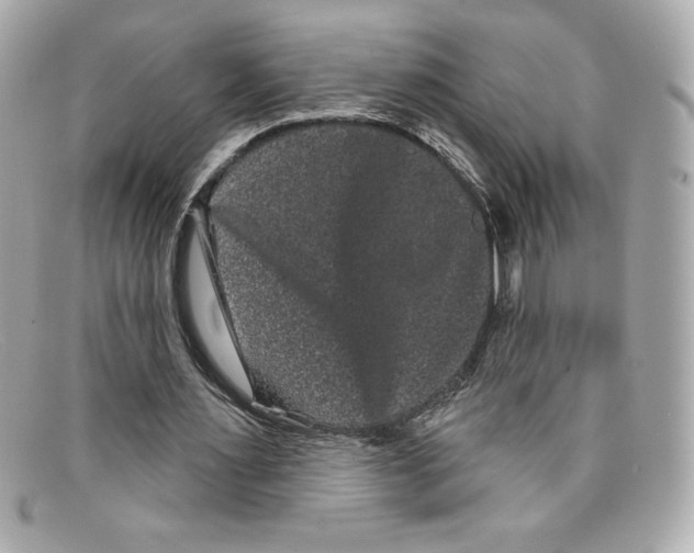 X0000097950483200804211040