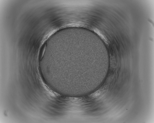 X0000097950486200804211040