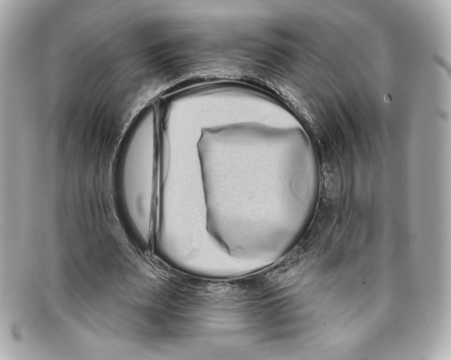 X0000097950487200804211040