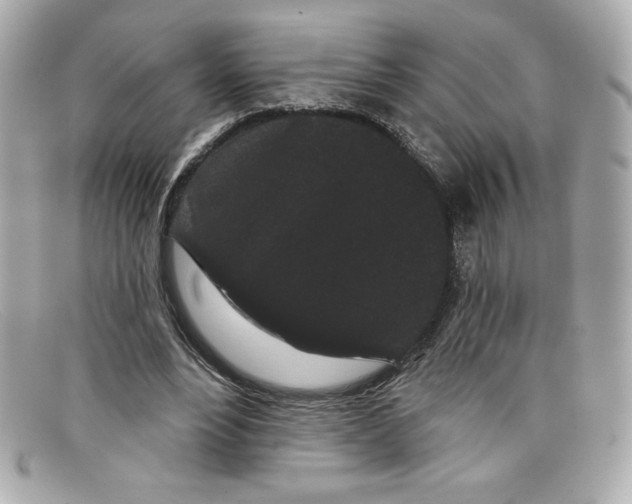 X0000097950488200804211040