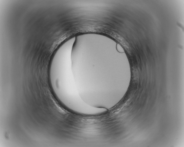 X0000097950489200804211040