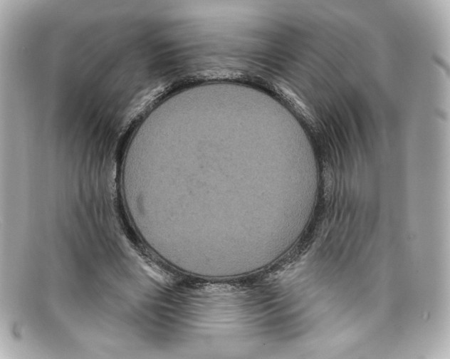 X0000097950490200804211040