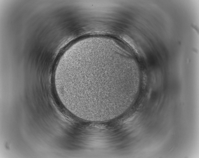 X0000097950491200804211040