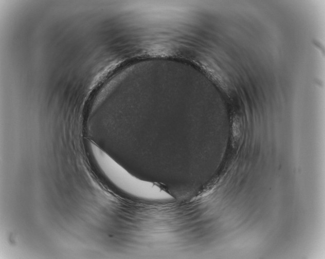 X0000097950492200804211040