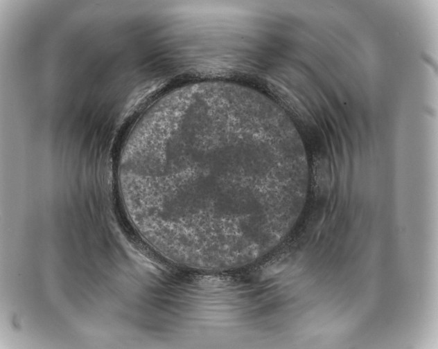 X0000097950494200804211040