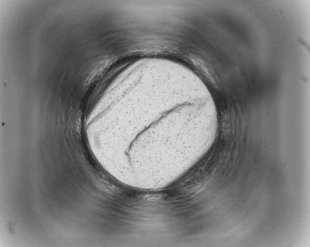 X0000097950495200804211040
