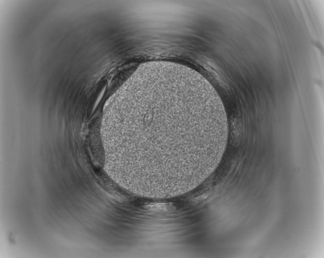 X0000097950499200804211040