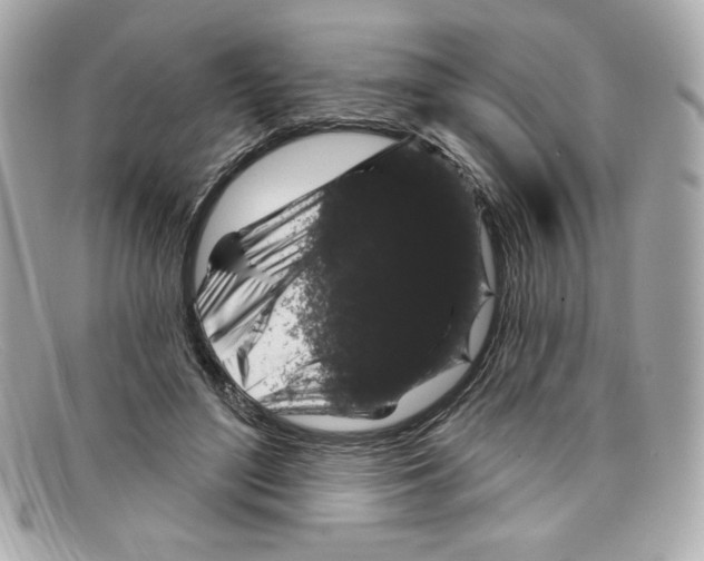 X0000097950500200804211040