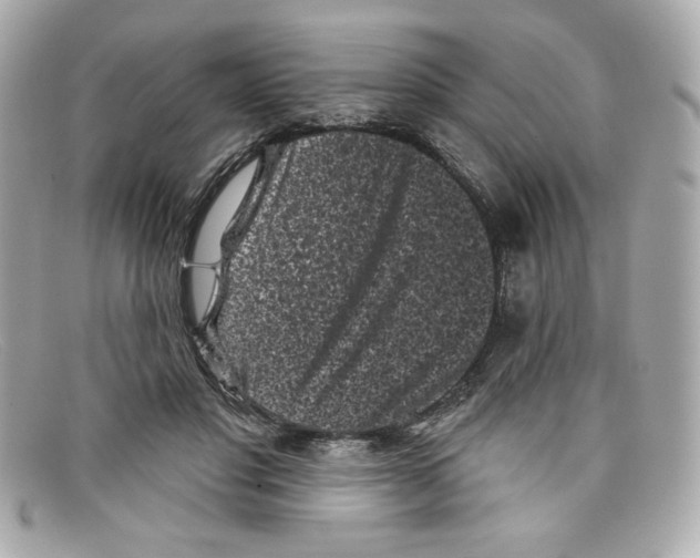 X0000097950501200804211040