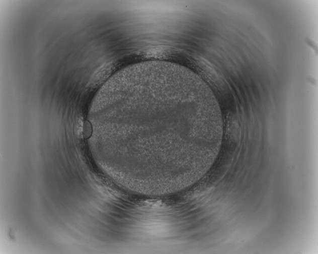 X0000097950502200804211040